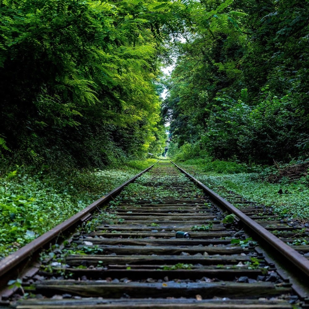 Meet your Posher, Reggie